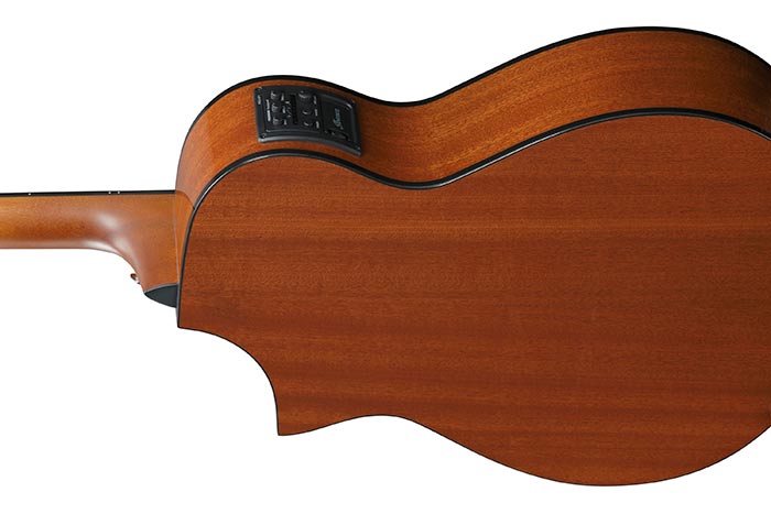 Back of the AEWC11-DVS's body