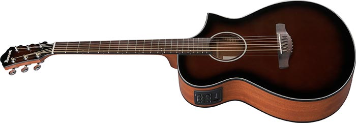 Entire top of the  AEWC11-DVS