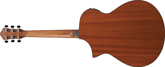 Entire back of the  AEWC11-DVS