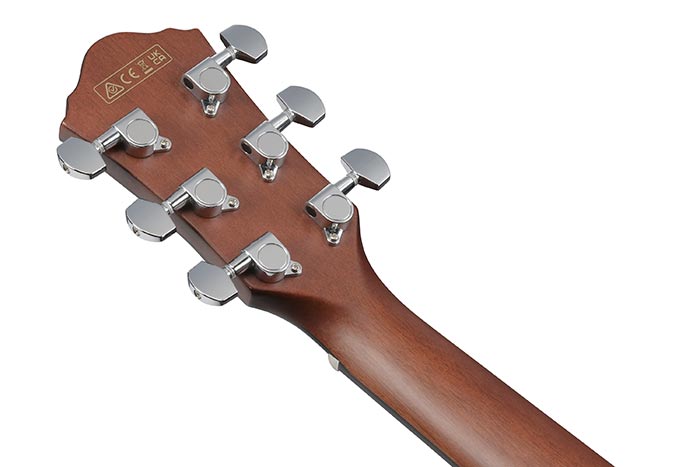 Back of the AEWC16QA-TEH's headstock