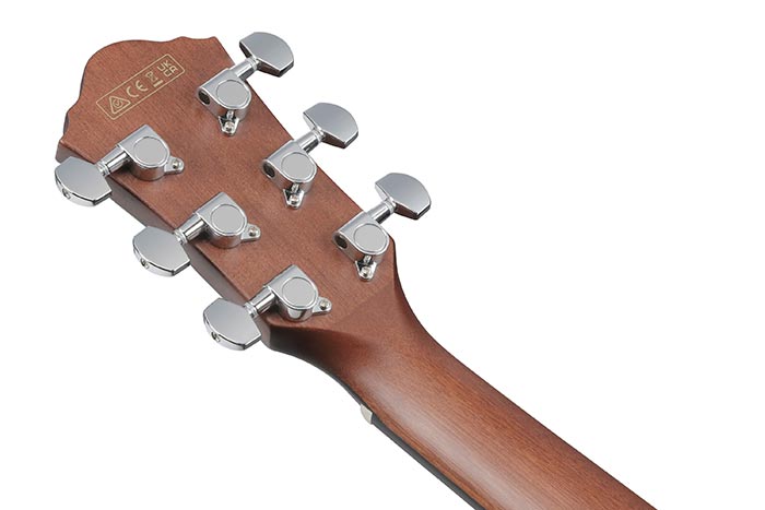 Back of the AEWC16QA-TLH's headstock