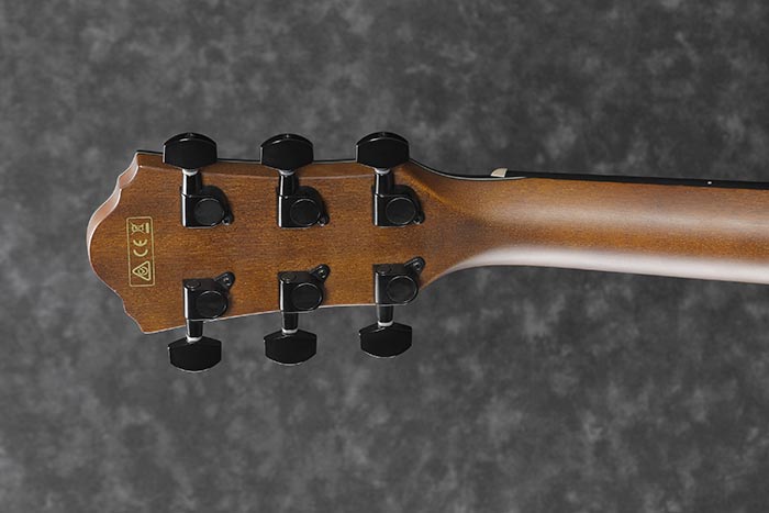 Back of the AEWC32FM-ASF's headstock