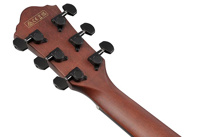 Back of the AEWC32FM-ASF's headstock