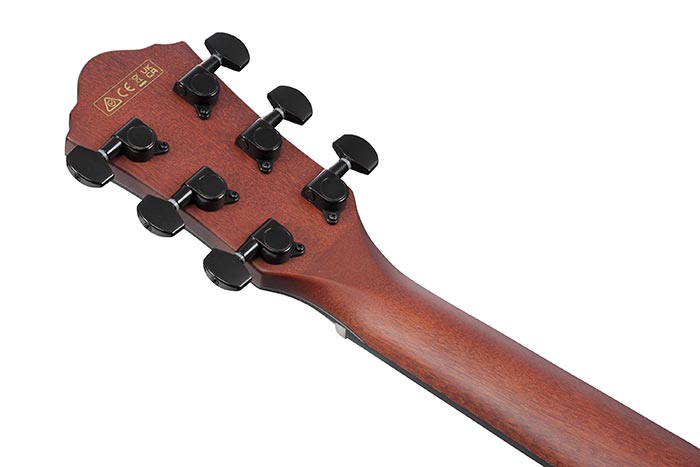Back of the AEWC32FM-BFD's headstock