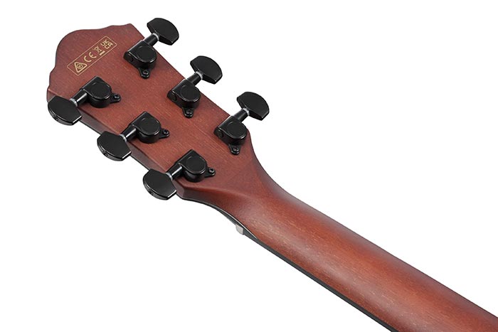 Back of the AEWC32FM-GSF's headstock