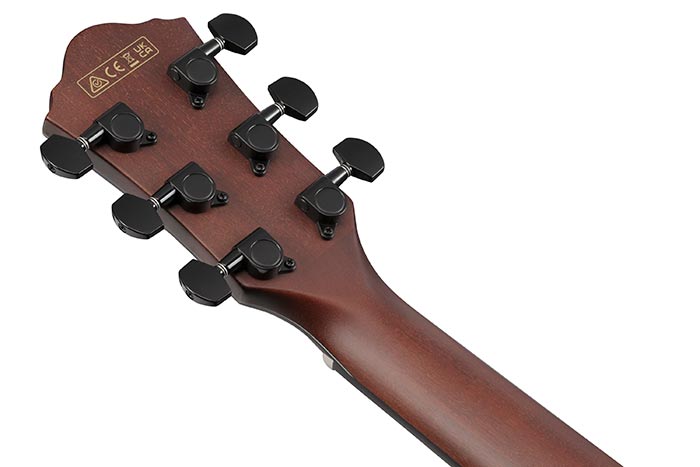 Back of the AEWC32FM-GSF's headstock
