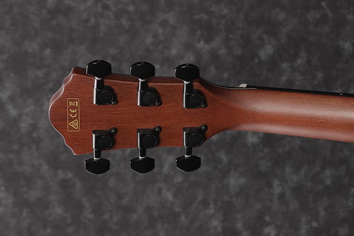 Back of the AEWC32FM-ISF's headstock