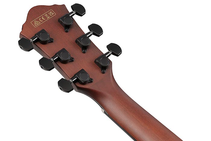 Back of the AEWC32FM-ISF's headstock