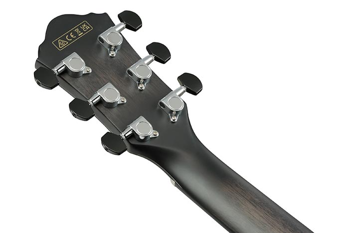 Back of the AEWC400-TKS's headstock