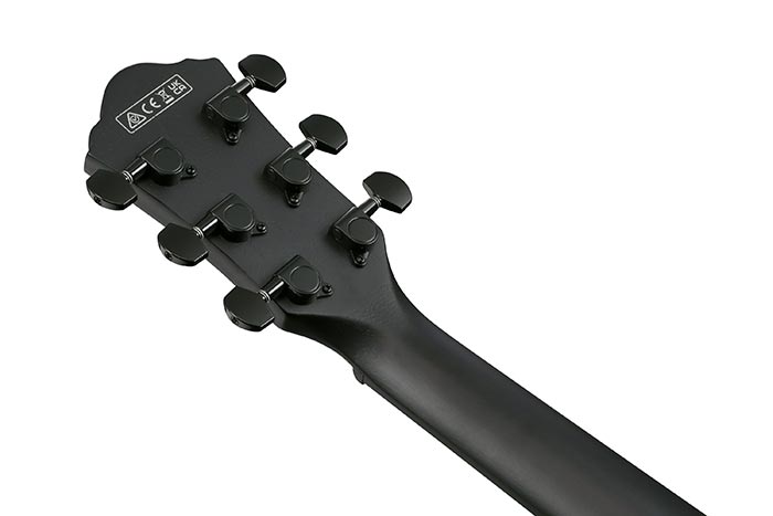 Back of the AEWC621-BOT's headstock
