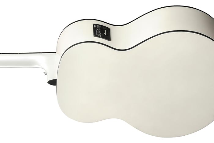 Back of the AJ70M2E-PW's body