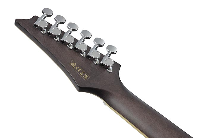 ALT30FM | Altstar | ACOUSTIC GUITARS | PRODUCTS | Ibanez guitars