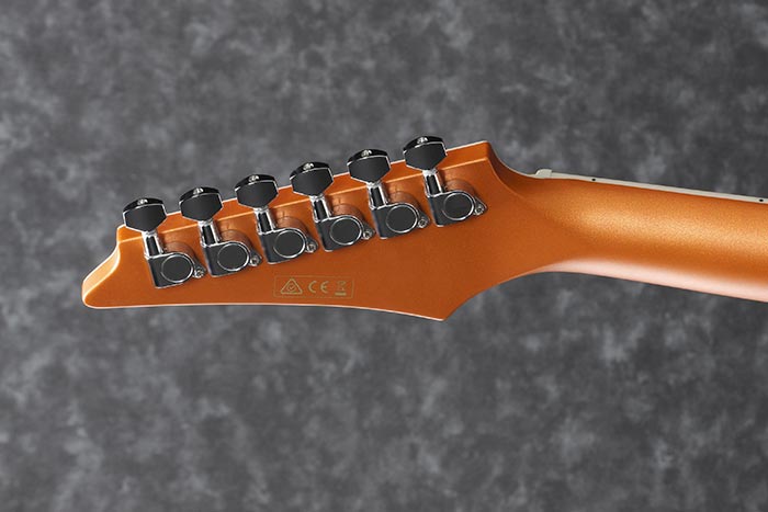 Back of the ALT30-DOM's headstock