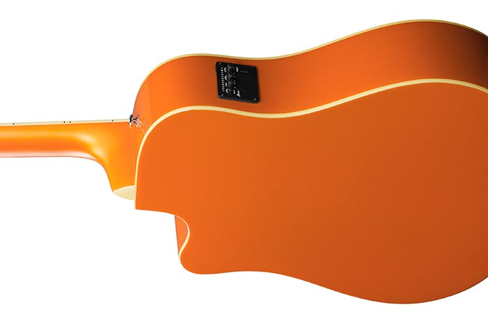 Back of the ALT30-DOM's body