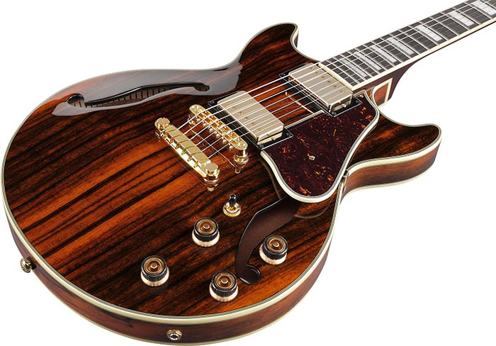 AM93ME AM HOLLOW BODIES PRODUCTS Ibanez guitars