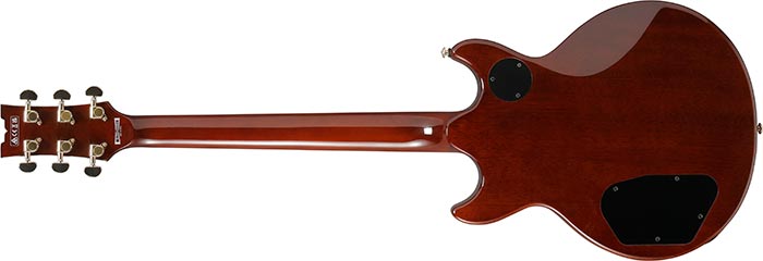 Entire back of the AR320-MBM