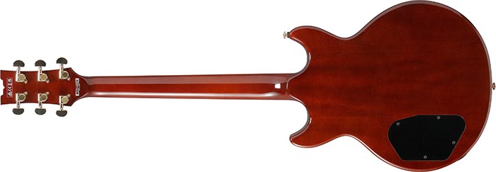 Entire back of the AR520HME-NT