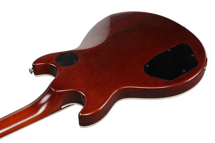 Back of the AR625FMSP-CML's body