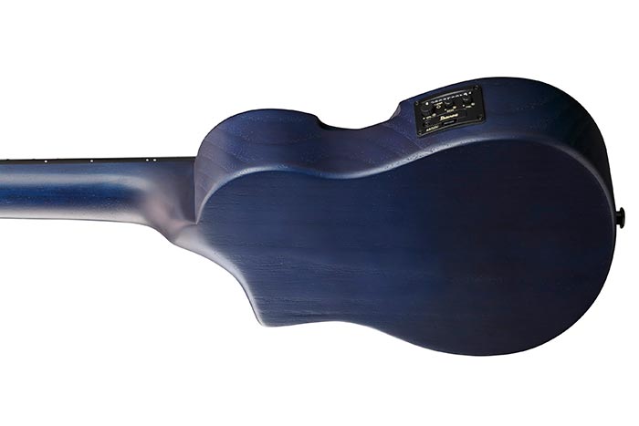 Back of the AUP10FMNE-TBO's body