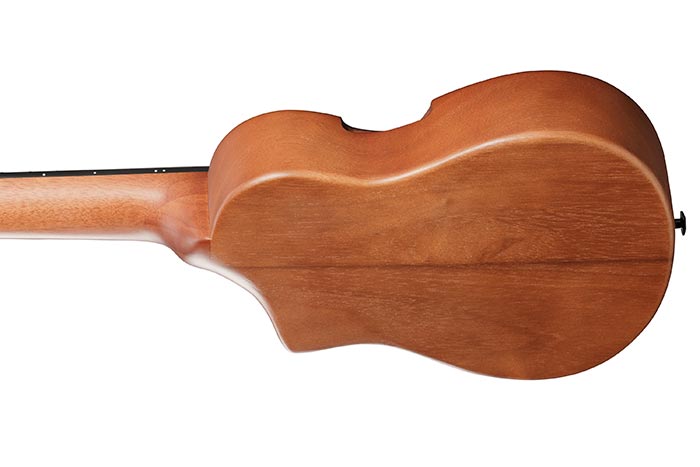 Back of the AUP10N-OLB's body