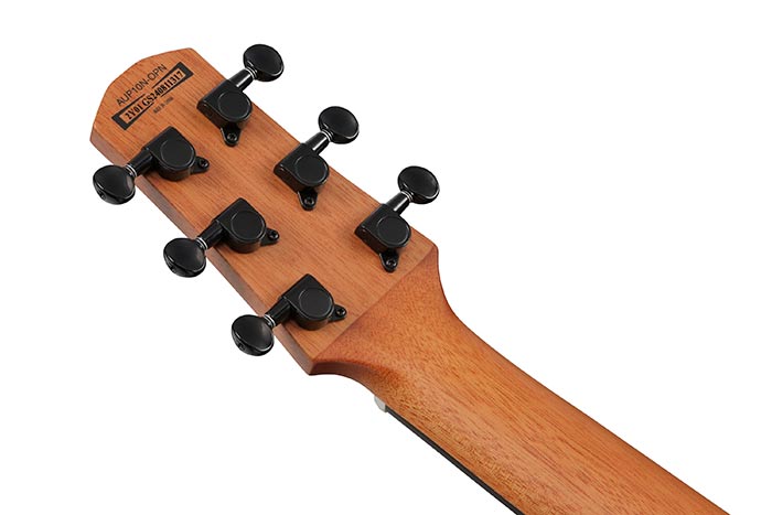 Back of the AUP10N-OPN's headstock