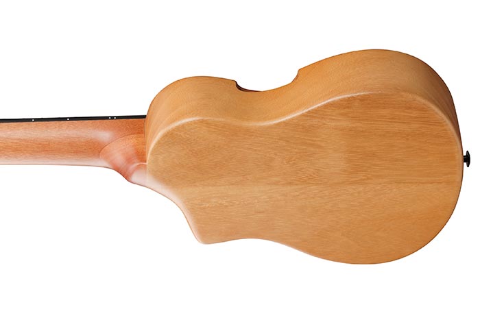 Back of the AUP10N-OPN's body