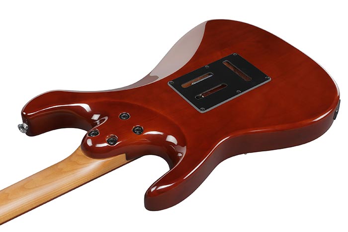 Back of the AZ22S1F-VLS's body