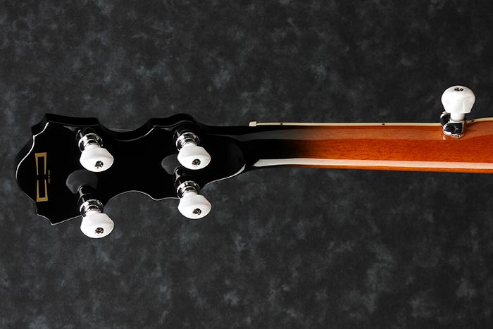 Back of the B300's headstock