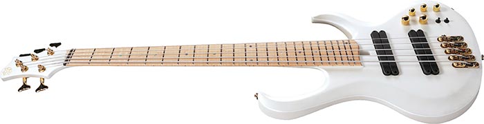 Entire top of the BTB605MLM-PWM