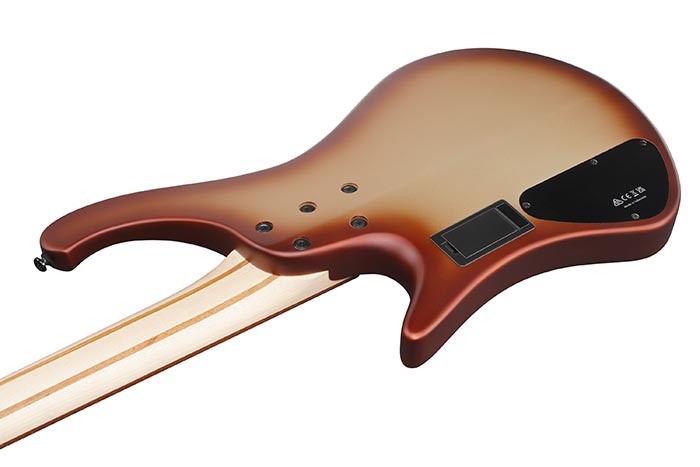 Back of the EHB600-CCM's body