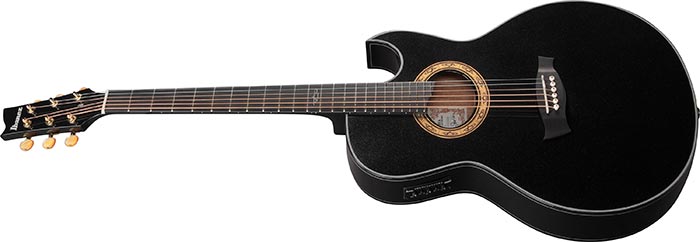 EP5 EP ACOUSTIC GUITARS PRODUCTS Ibanez guitars