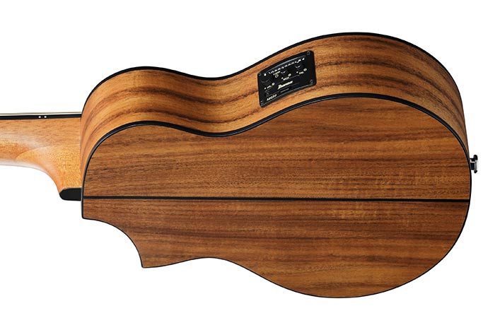 Back of the EWP12EWB-OPN's body