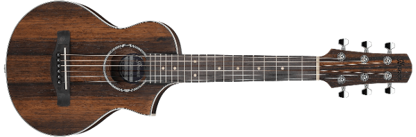 EWP PRODUCTS Ibanez guitars