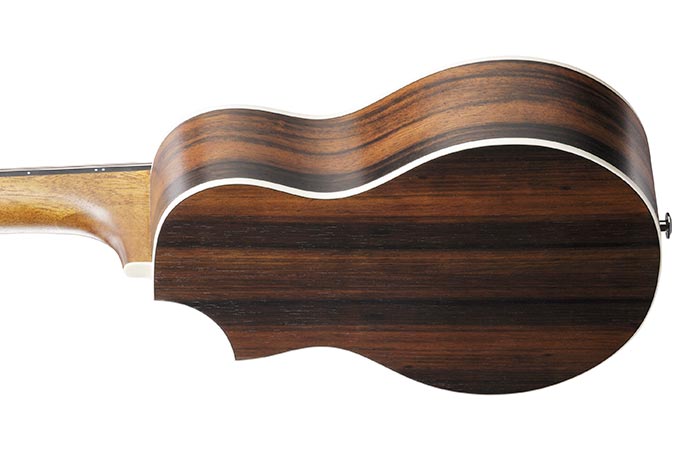 EWP13 | EWP | ACOUSTIC GUITARS | PRODUCTS | Ibanez guitars