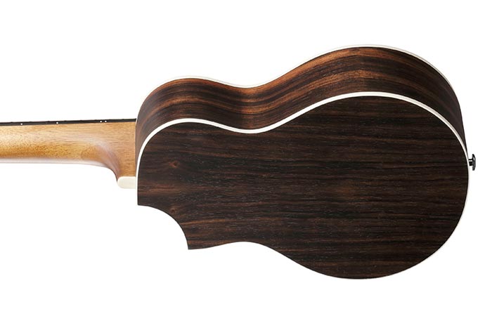 Back of the EWP13-DBO's body