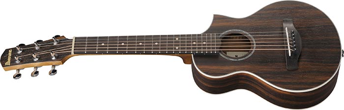 Entire top of the  EWP13-DBO