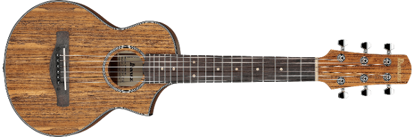 EWP14 | EWP | ACOUSTIC GUITARS | PRODUCTS | Ibanez guitars | USA EWP14 | EWP | ACOUSTIC GUITARS | PRODUCTS | Ibanez guitars | USA
