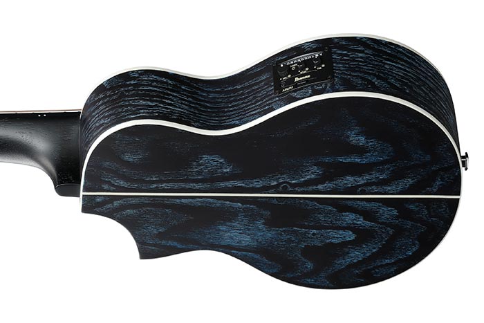 Back of the EWP16EWB-GAO's body