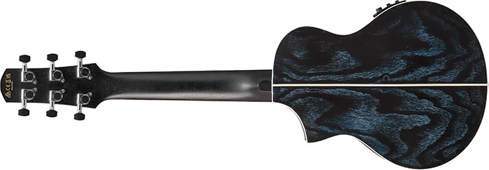 Entire back of the  EWP16EWB-GAO