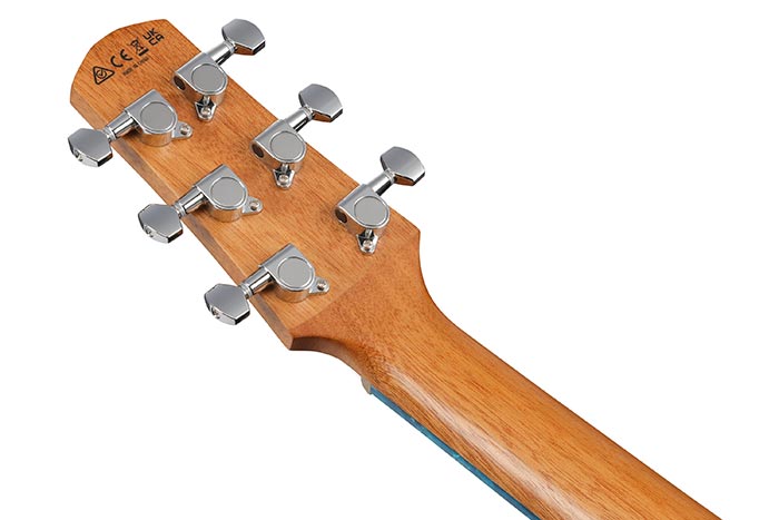 Back of the EWP17M1E-SFO's headstock