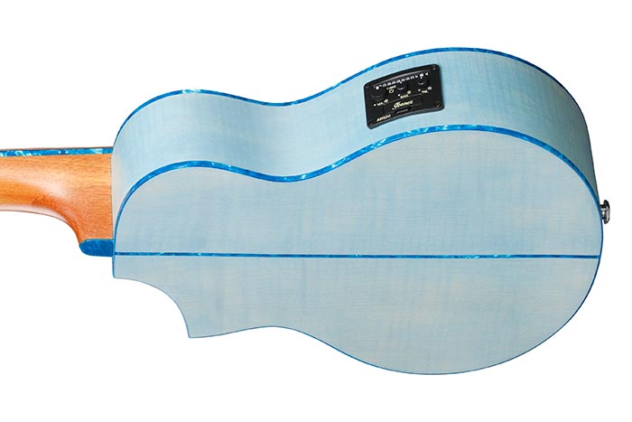 Back of the EWP17M1E-SFO's body