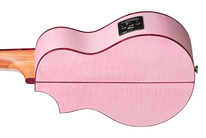 Back of the EWP17M2E-SMO's body