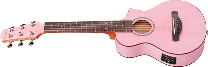 Entire top of the  EWP17M2E-SMO