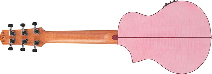 Entire back of the  EWP17M2E-SMO