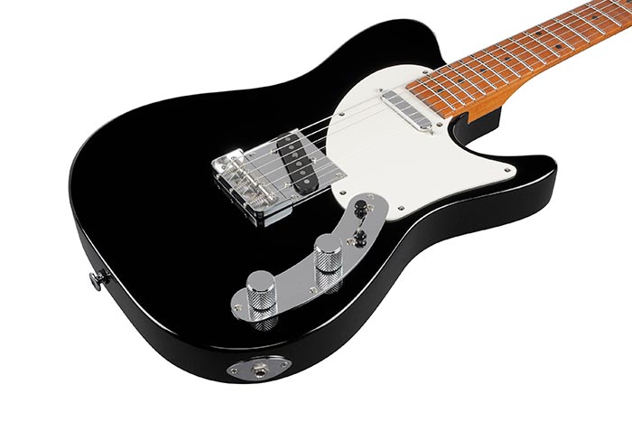 Ibanez flatv shop