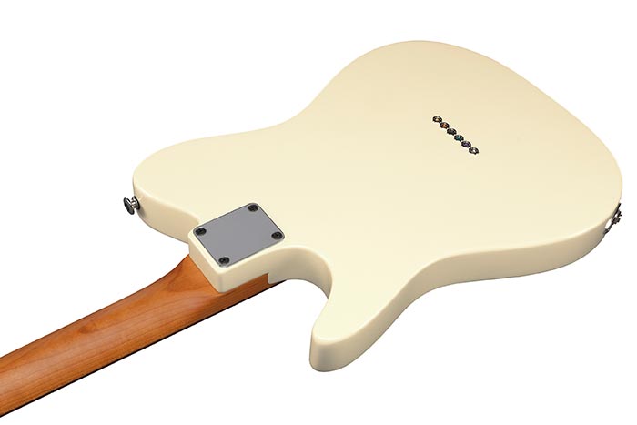 Back of the FLATV2-MSN (Available in Summer)'s body