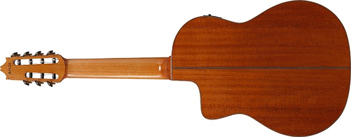 Entire back of the  GA3007CE-NT