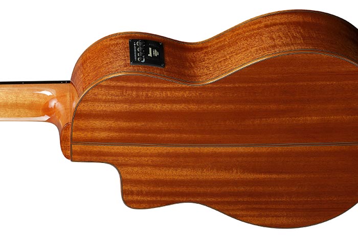 Back of the GA3008CE-NT's body