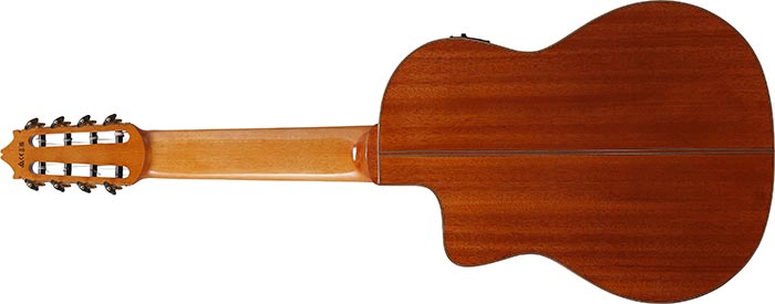 Entire back of the  GA3008CE-NT