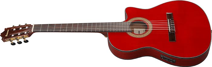 Entire top of the  GA35TCE-SRR